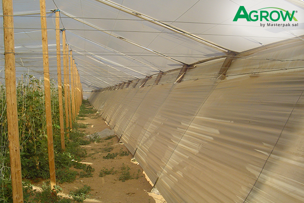 Grapevine Cover Film