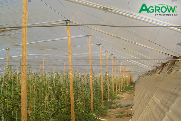 Grapevine Cover Film