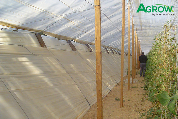 Grapevine Cover Film