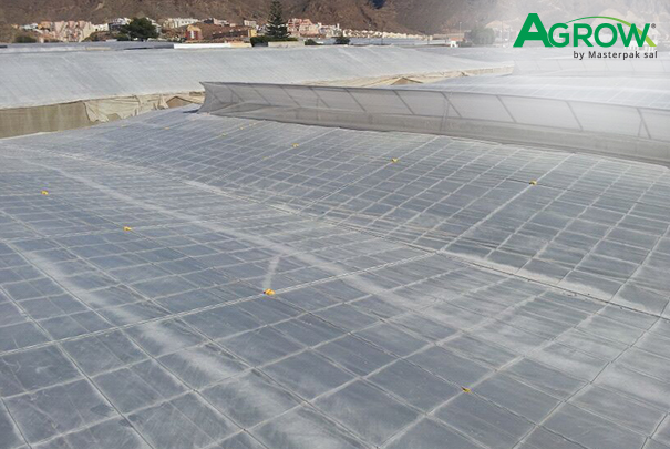 Greenhouse Cover Films