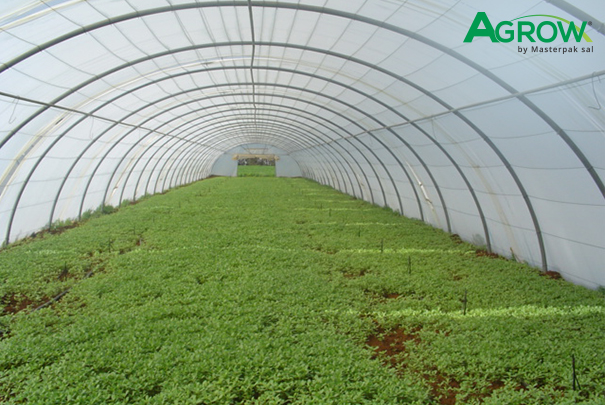 Greenhouse Cover Films