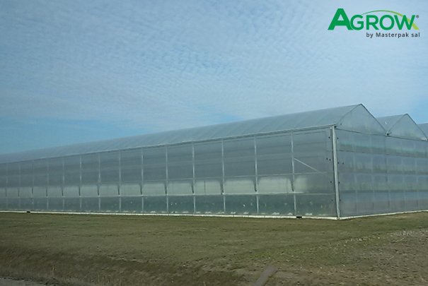 Greenhouse Cover Films