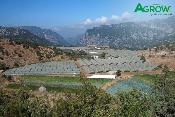 Greenhouse Cover Films