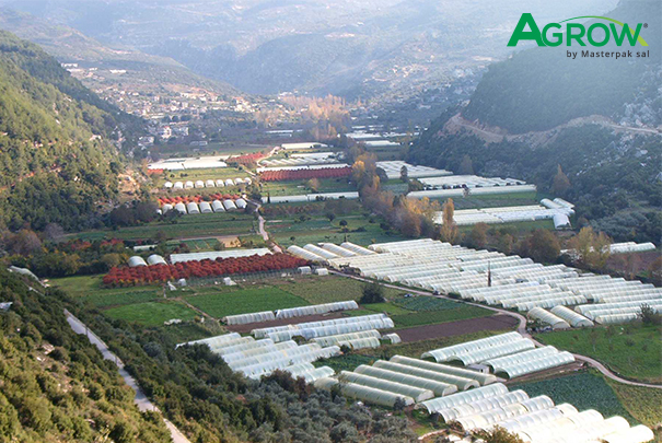 Greenhouse Cover Films