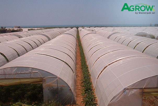 Greenhouse Cover Films