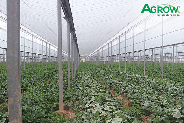 Greenhouse Cover Films