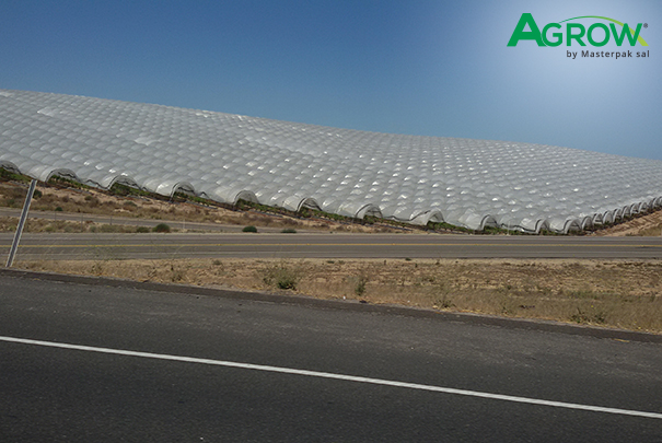 Greenhouse Cover Films