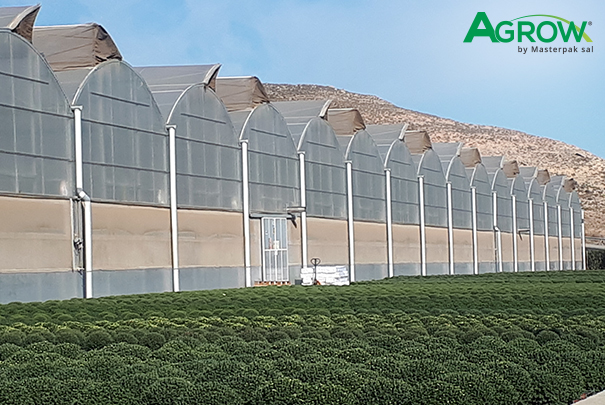 Greenhouse Cover Films