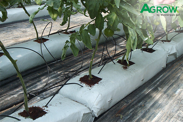 Hydroponic Gully Film