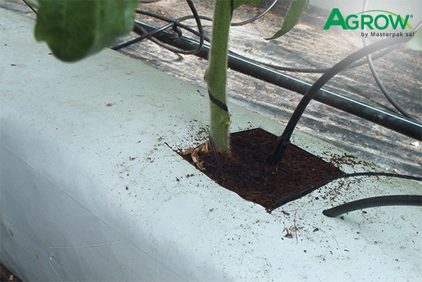 Hydroponic Gully Film