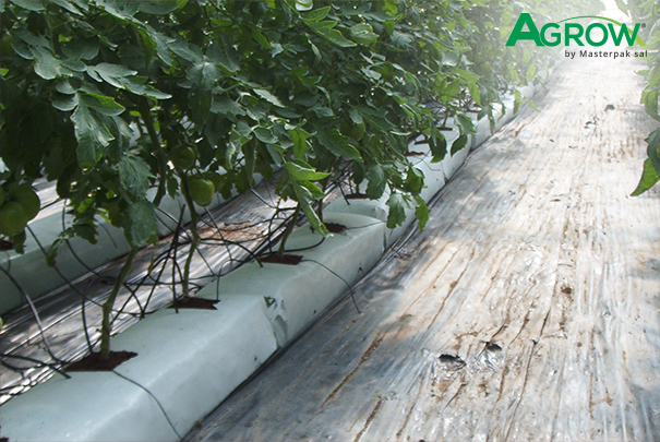 Hydroponic Gully Film