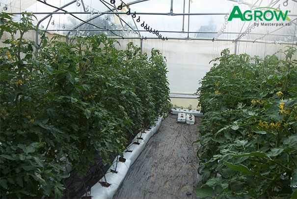 Hydroponic Gully Film