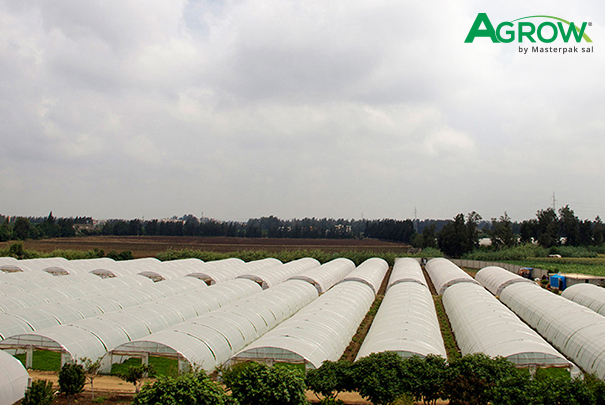 Greenhouse Cover Films