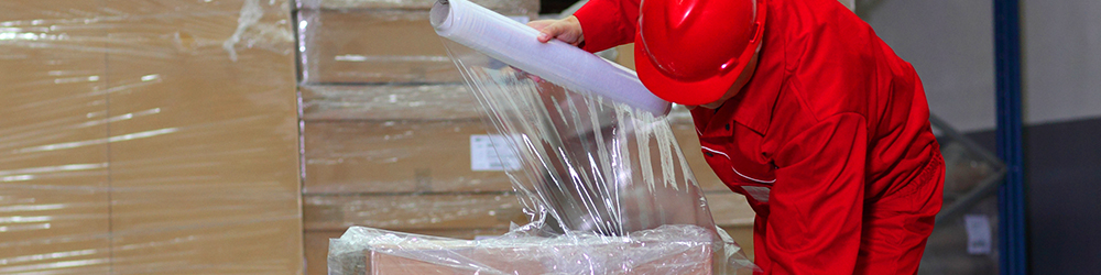 Logística y Transporte