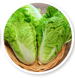 Lettuce