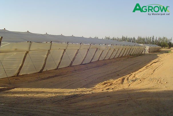 Coberturas Plásticas para Viñedos