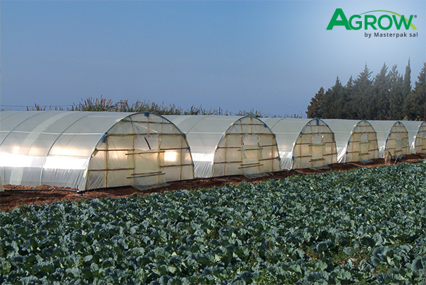 Film para Invernadero