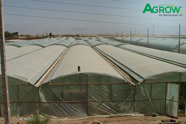 Film para Invernadero