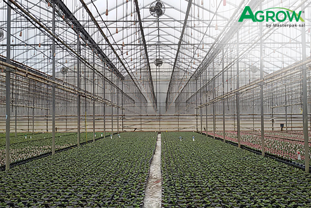 Film para Cubrimiento del Suelo