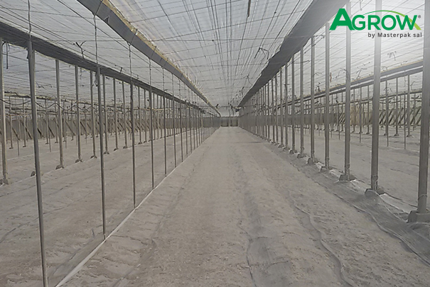 Film para Desinfección de Suelo